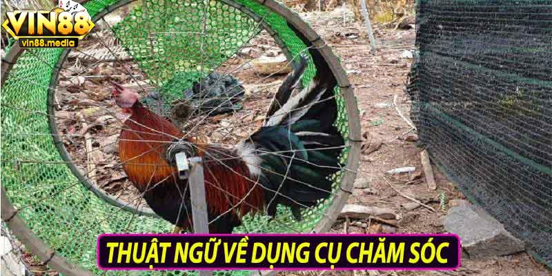 Thuật ngữ về dụng cụ chăm sóc